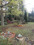 Umgest&uuml;rzte B&auml;ume auf dem Hauptfriedhof (Foto: L. Hillmann)