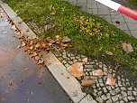 Die Spur von "Herwart" (Foto: S. Tetzel)