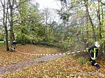 Die Spur von "Herwart" (Foto: S. Tetzel)