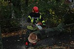 Feuerwehr im Einsatz (Foto: Feuerwehr)