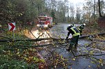 Feuerwehr im Einsatz (Foto: Feuerwehr)