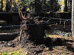 Aufr&auml;umarbeiten auf dem Hauptfriedhof (Foto: Peter Blei)