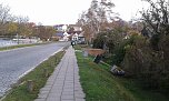 100 km mit Sturm Herwart (Foto: privat)