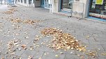 Laubreich  sah es vor dem Objekt Carpe Diem dieser Tage aus. (Foto: Kurt Frank)