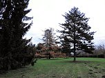 Abstecher in den W&ouml;rlitzer Park (Foto: Peter Blei)