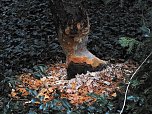 Abstecher in den W&ouml;rlitzer Park (Foto: Peter Blei)