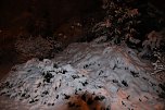 Erster Advent in Nordhausen (Foto: Peter Blei)