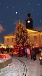 Impressionen vom Weihnachtsmarkt (Foto: Peter M&ouml;bius)