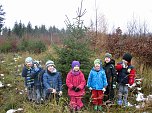 Ein Tannenbaum f&uuml;r unsere Kindervilla (Foto: Kindervilla)