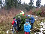 Ein Tannenbaum f&uuml;r unsere Kindervilla (Foto: Kindervilla)