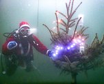Sensation im KWU Schacht Nordhausen (Foto: TSC Neptun)