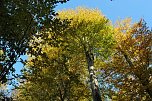 Herbst im gehege (Foto: W. Kaiser)