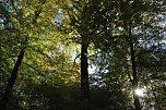 Herbst im gehege (Foto: W. Kaiser)
