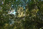 Herbst im gehege (Foto: W. Kaiser)
