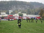 Ge&uuml;bte Katstrophe (Foto: Knauf)
