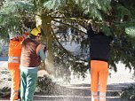 Weihnachtsbaum Sondershausen (Foto: Karl-Heinz Herrmann)