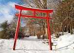 Gr&uuml;&szlig;e aus dem Ahornpark Ilfeld (Foto: J. Hesse)