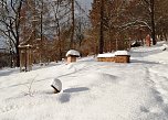 Gr&uuml;&szlig;e aus dem Ahornpark Ilfeld (Foto: J. Hesse)