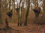 Natur pur, in jeder Hinsicht (Foto: M. Kappler)
