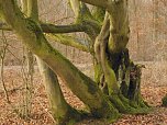 Natur pur, in jeder Hinsicht (Foto: M. Kappler)