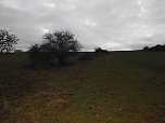 Natur pur, in jeder Hinsicht (Foto: M. Kappler)