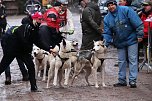 Hundeschlittenrennen in Pullman City (Foto: Peter Blei)