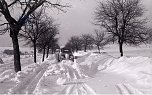 Schnee von gestern (Foto: G&uuml;nter Herting)