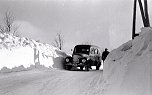 Schnee von gestern (Foto: G&uuml;nter Herting)