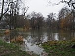 Die ersten Fr&uuml;hlingsboten? (Foto: J. Friedling)