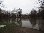 Die ersten Fr&uuml;hlingsboten? (Foto: J. Friedling)