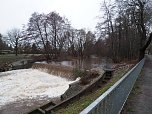 Die ersten Fr&uuml;hlingsboten? (Foto: J. Friedling)