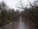 Die ersten Fr&uuml;hlingsboten? (Foto: J. Friedling)