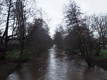 Die ersten Fr&uuml;hlingsboten? (Foto: J. Friedling)