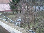 Unterwegs nach Rum&auml;nien (Foto: nnz)