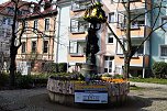 5.Brunnenfest (Foto: nnz)