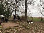 JU pflanzte Blumen (Foto: privat)