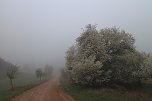 Fr&uuml;hjahrswanderung bei Auleben (Foto: Angelo Glashagel)