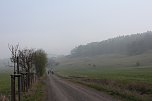 Fr&uuml;hjahrswanderung bei Auleben (Foto: Angelo Glashagel)