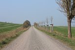 Fr&uuml;hjahrswanderung bei Auleben (Foto: Angelo Glashagel)