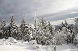 Heiligabend noch kurz auf den Brocken (Foto: VGF)