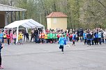 Fr&uuml;hjahrscrosslauf 2019 (Foto: Angelo Glashagel)