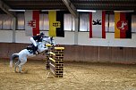 3. Hallenmeisterschaft Springreiten (Foto: nnz) 3. Hallenmeisterschaft Springreiten (Foto: nnz)
