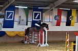 3. Hallenmeisterschaft Springreiten (Foto: nnz) 3. Hallenmeisterschaft Springreiten (Foto: nnz)