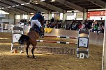 3. Hallenmeisterschaft Springreiten (Foto: nnz) 3. Hallenmeisterschaft Springreiten (Foto: nnz)