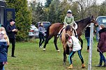 3. Hallenmeisterschaft Springreiten (Foto: nnz) 3. Hallenmeisterschaft Springreiten (Foto: nnz)