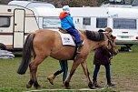 3. Hallenmeisterschaft Springreiten (Foto: nnz) 3. Hallenmeisterschaft Springreiten (Foto: nnz)