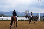 3. Hallenmeisterschaft Springreiten (Foto: nnz) 3. Hallenmeisterschaft Springreiten (Foto: nnz)