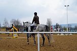 3. Hallenmeisterschaft Springreiten (Foto: nnz) 3. Hallenmeisterschaft Springreiten (Foto: nnz)