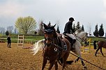 3. Hallenmeisterschaft Springreiten (Foto: nnz) 3. Hallenmeisterschaft Springreiten (Foto: nnz)