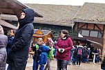 3. Hallenmeisterschaft Springreiten (Foto: nnz) 3. Hallenmeisterschaft Springreiten (Foto: nnz)